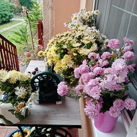 Διαμέρισμα Margaret Egerszalók