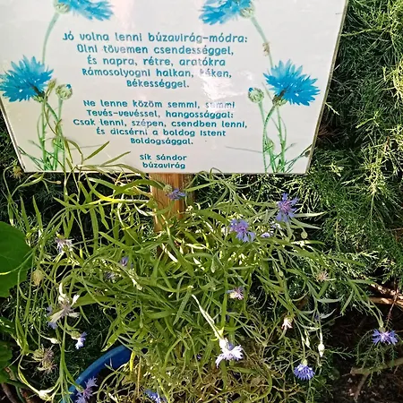 Διαμέρισμα Margaret