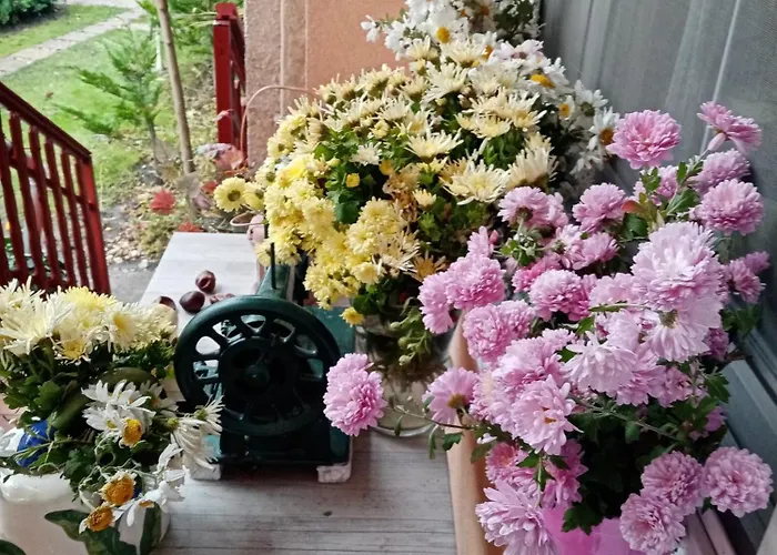 Lägenhet Margaret Egerszalók